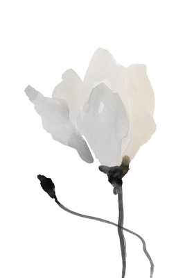 Image Not Available